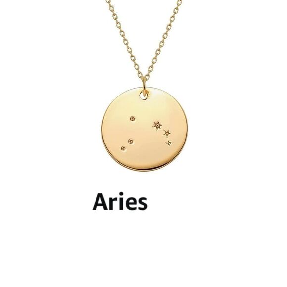Scorpio Zodiac Sign Disc Constellation Necklace - Picture 7 of 8